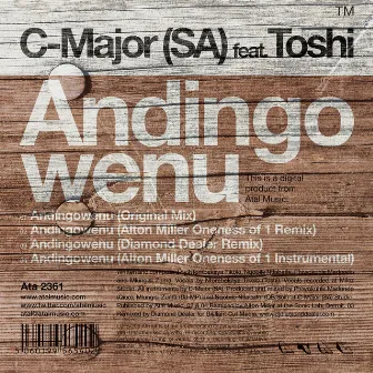 Andingowenu by C-Major SA