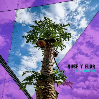 Nube y Flor by De la Diáspora