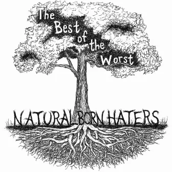 Natural Born Haters by The Best of the Worst