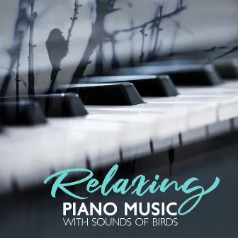 Relaxing Piano Music with Sounds of Birds for Meditation: Study, Harmony and Serenity by Relaxation Area