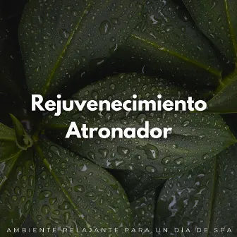 Rejuvenecimiento Atronador: Ambiente Relajante Para Un Día De Spa by 