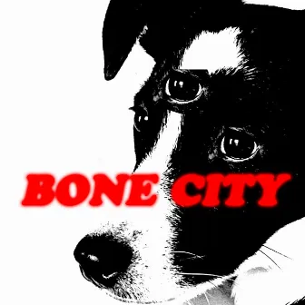 Bone City by Ceramic Animal