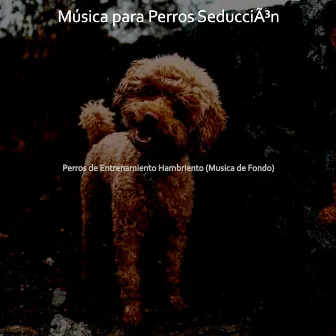 Perros de Entrenamiento Hambriento (Musica de Fondo) by Música para Perros Seducción