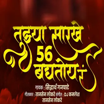 Tujhya Sarkhe 56 Baghtoy Ra by Siddharth Gajghate