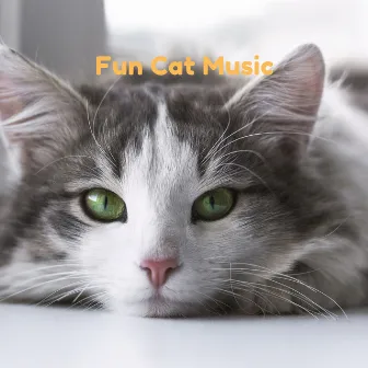 Fun Cat Music by Christian Music For Babies