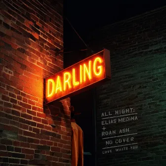 Darling by Roan Ash