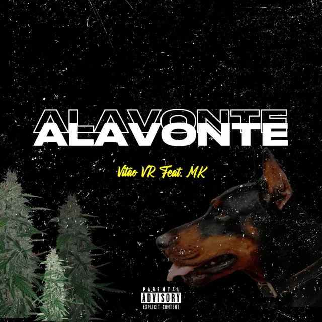 Alavonte