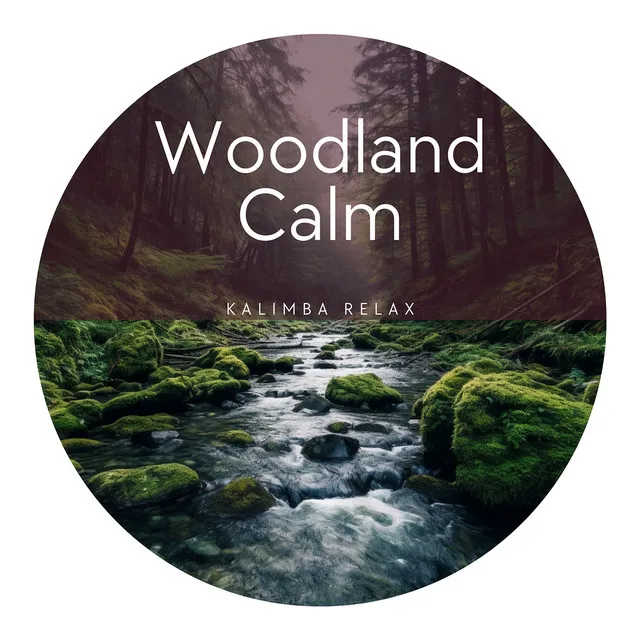 Woodland Calm - Kalimba Relaxation, Forest Solitude, Breathe