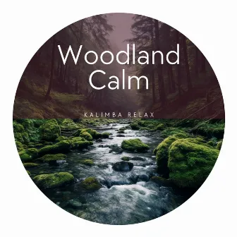 Woodland Calm - Kalimba Relaxation, Forest Solitude, Breathe by Kalimba Relax