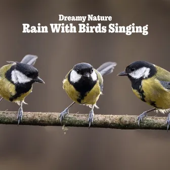 Rain With Birds Singing by Unknown Artist