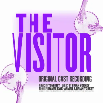 The Visitor (Original Cast Recording) by David Hyde Pierce