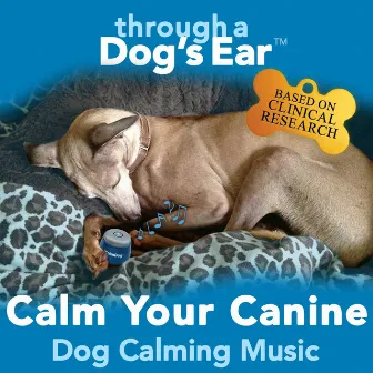 Calm Your Canine: Dog Calming Music by Through a Dog's Ear