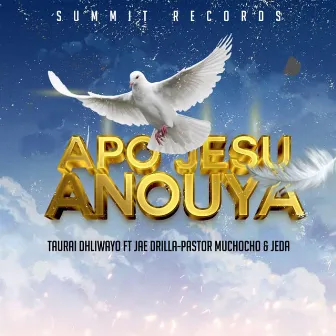 Apo Jesu Anouya by Taurai Dhliwayo