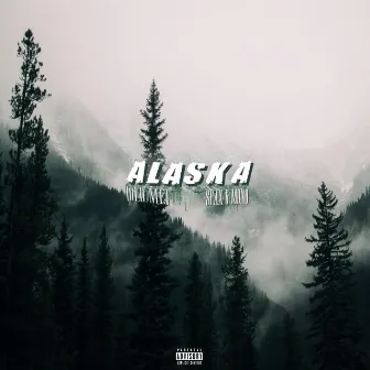 ALASKA (Old Me) [feat. Mono] by Spax