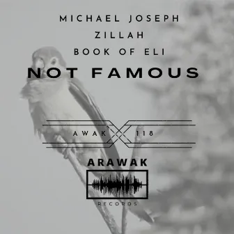 Not Famous by Michael Joseph