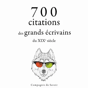 700 citations des grands écrivains du XIXe siècle by Alexandre Dumas