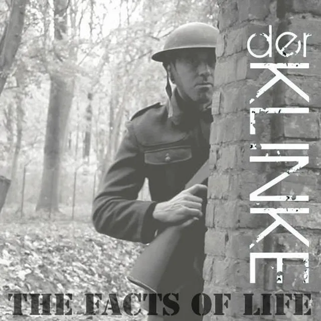 The Facts of Life - DJ Chesko Remix