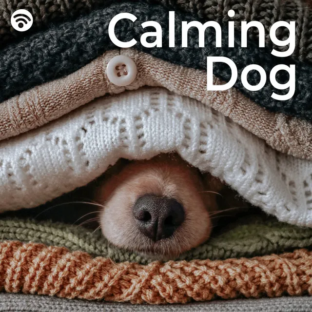 Calming Dog