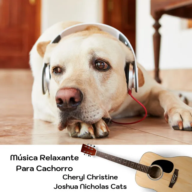 Música Relaxante Para Cachorro