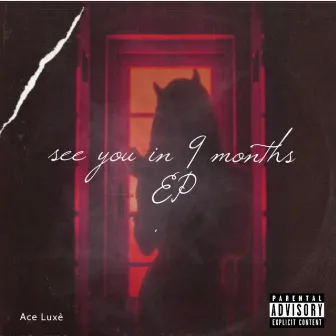 See You In 9 Months by Ace Luxè