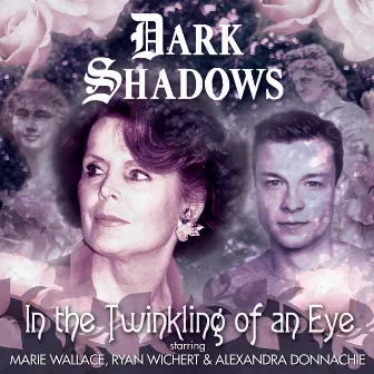 47: In the Twinkling of an Eye (Unabridged) by Dark Shadows