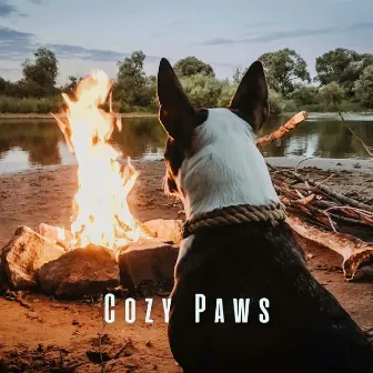 Cozy Paws: Chill Sounds for Contented Dogs by the Fire by Noom Night Fire Sounds