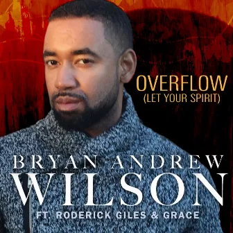 Overflow by Bryan Andrew Wilson