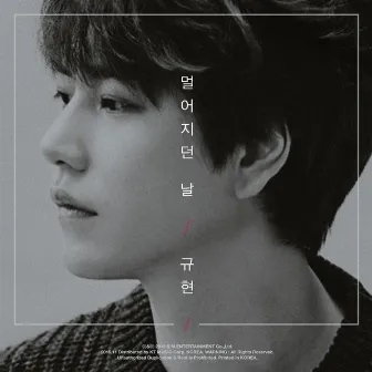 멀어지던 날 The day we felt the distance by KYUHYUN