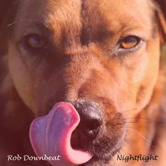 Nightflight by Rob Downbeat