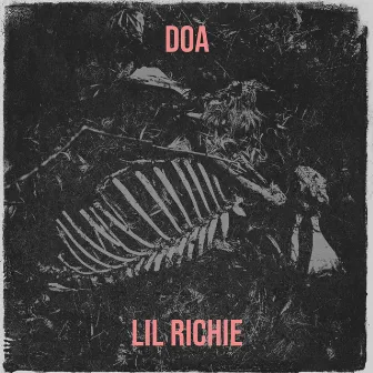 D.O.A by Lil Richie