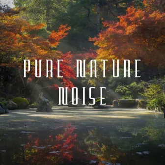 Pure Nature Noise by Sounds of Rain White Noise Sleep