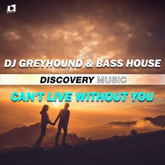 Can't Live Without You by Bass House