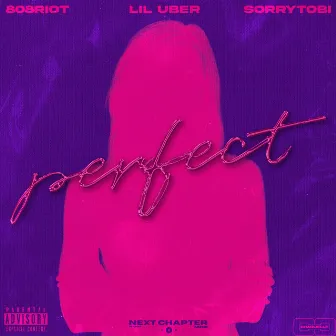 Perfect by 808Riot