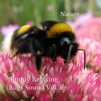 Nature: Simply Relaxing Bugs Sound Vol. 1 by Native American Nature