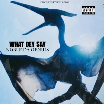 What Dey Say by Noble Da Genius