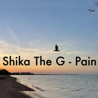 Pain by Shika The G