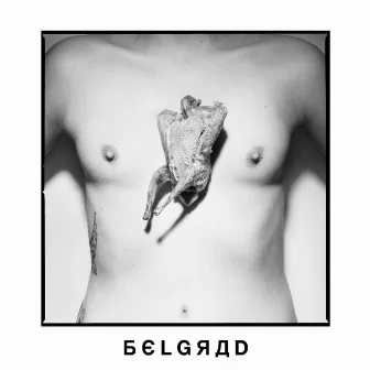 Niemand by Belgrad