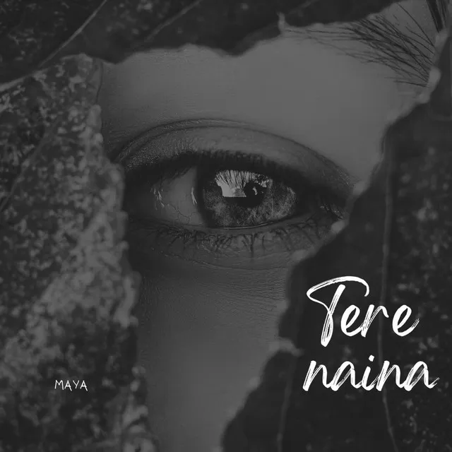 Hindi Shayari (Tere Naina)