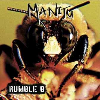 Rumble B by Manitu