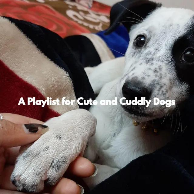 A Playlist for Cute and Cuddly Dogs