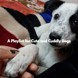 A Playlist for Cute and Cuddly Dogs by Musica para Dormir Jazz