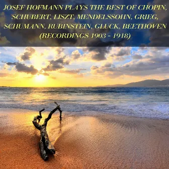 Josef Hofmann Plays the Best of Chopin, Schubert, Liszt, Mendelssohn, Grieg, Schumann, Rubinstein, Gluck, Beethoven by Josef Hofmann