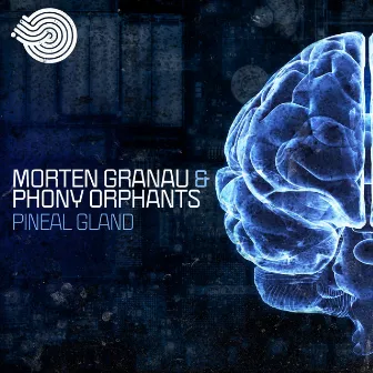 Pineal Gland by Phony Orphants