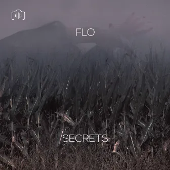 Secrets by FLO