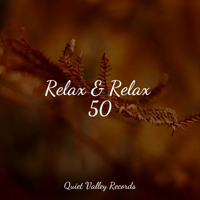 Relax & Relax 50