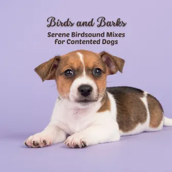 Birds and Barks: Serene Birdsound Mixes for Contented Dogs by Dog Music Collective