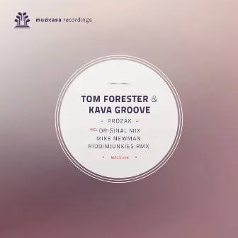 Prozak Incl. Mike Newman & Riddimjunkie Remix by Kava Groove