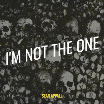 I'm Not the One by sean appall