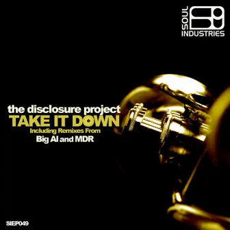 Take It Down by The Disclosure Project