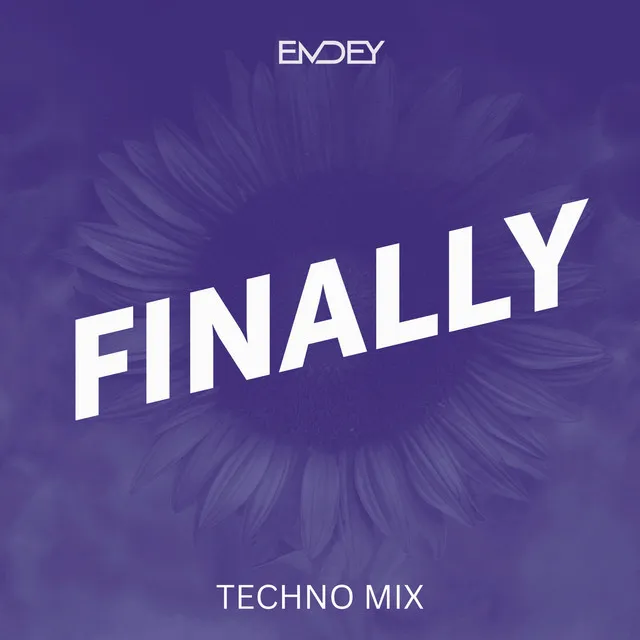 Finally (Techno Mix)